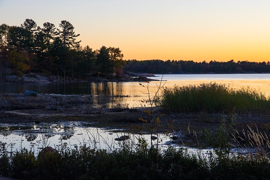 Kilarney Bay Shoreline