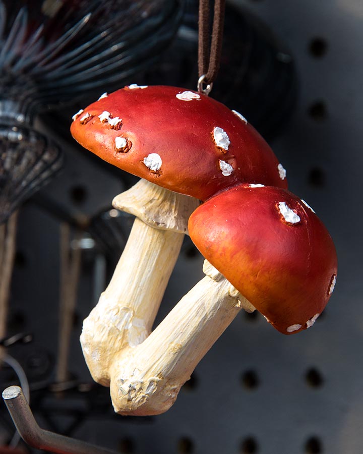 Mushrooms
