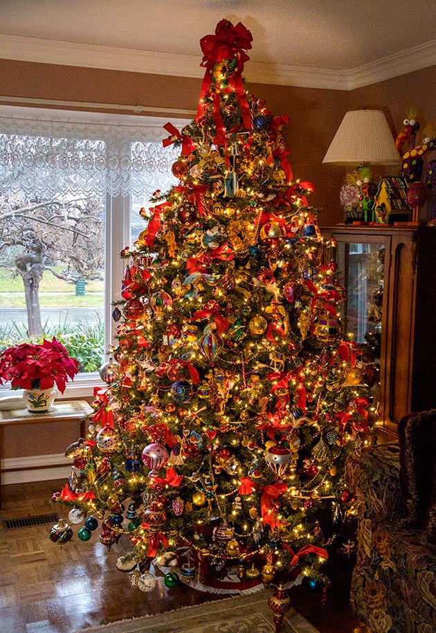 the Tree is Finally Done