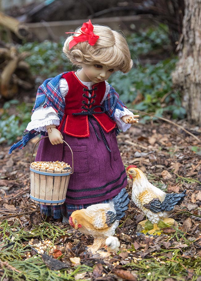 Feeding the Chickens