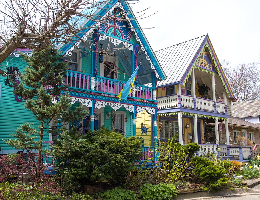 Painted Ladies