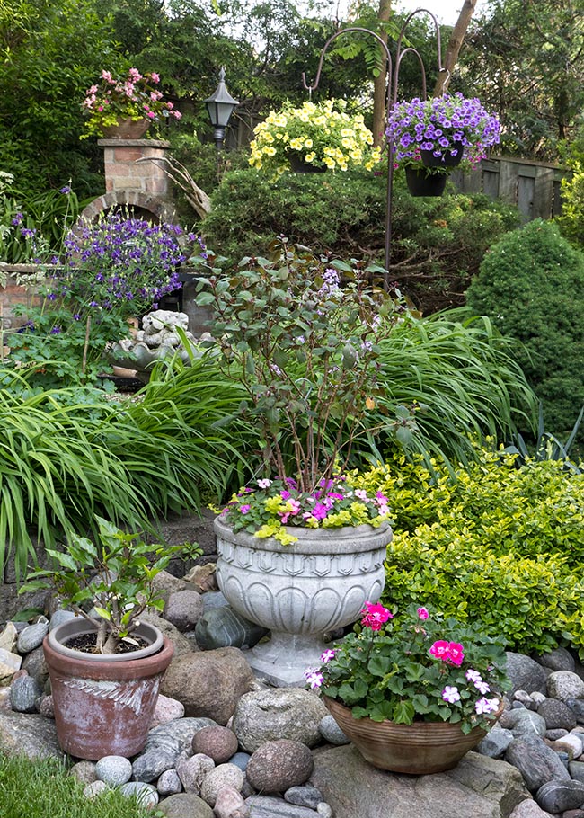 Urn with Fuchsia