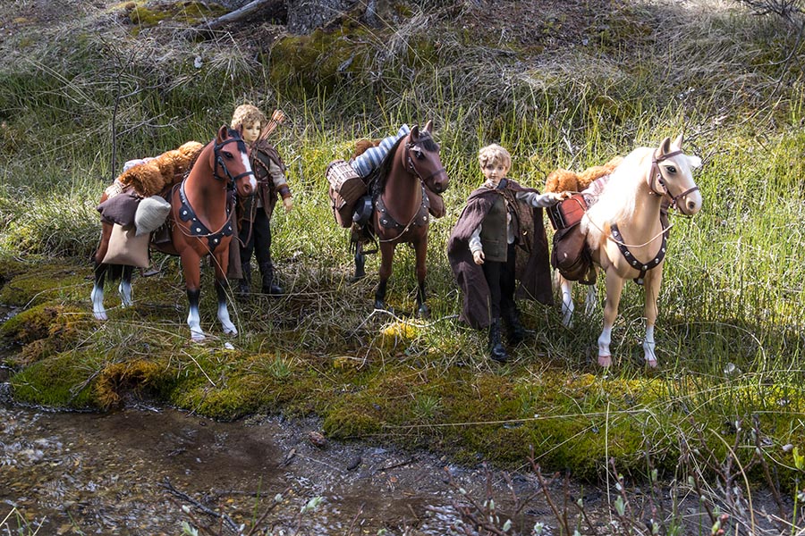 Narin & Adrian with the Horses