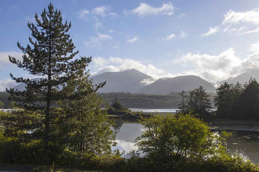 Morning View from our Uclulet Campsite