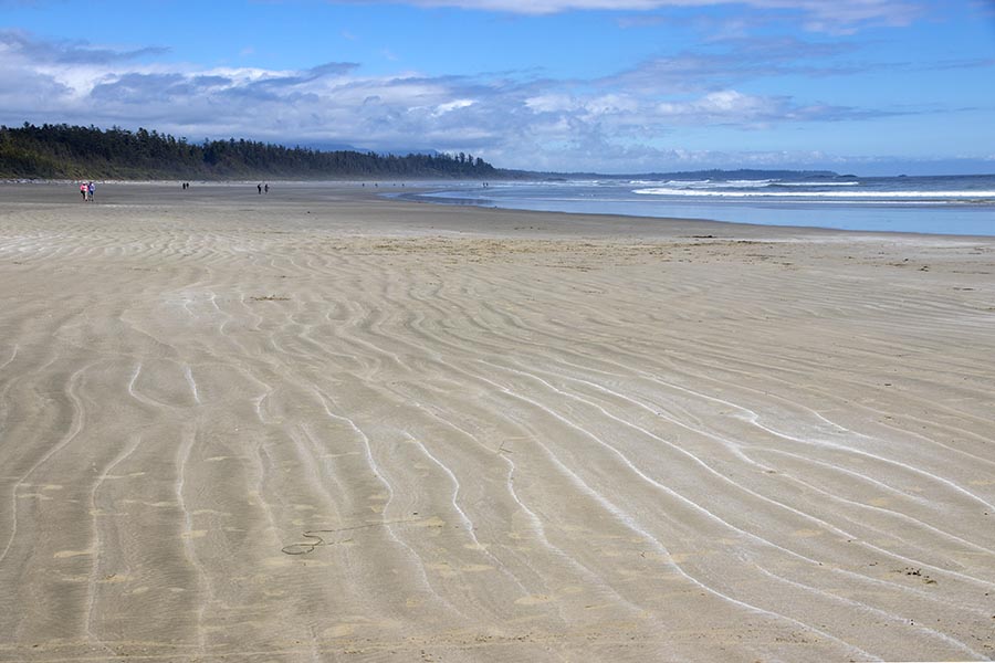 Ripples in the Sand