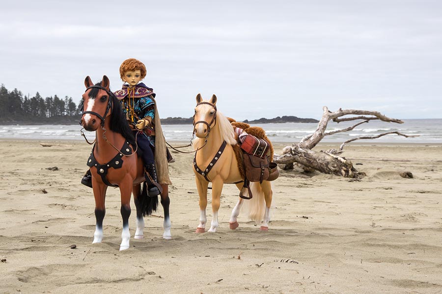 Travelling Across the Beach