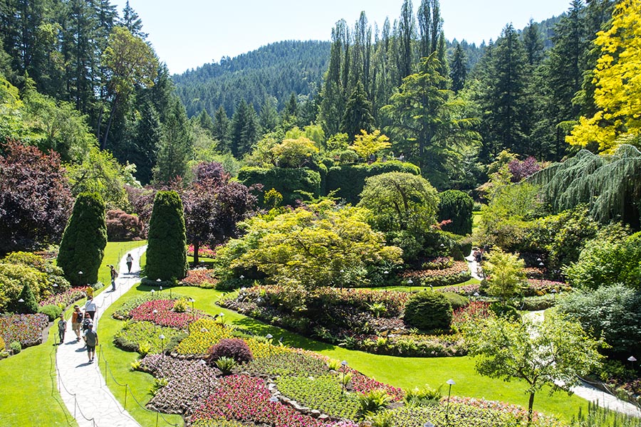 Butchart Gardens