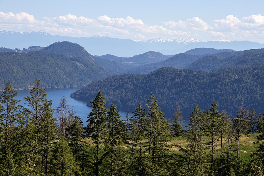 View from the Malahat Lookout