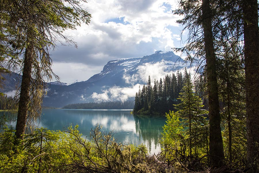 Morning Mist, Emerald Lake