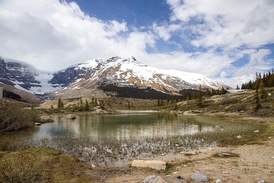 At the Icefields Center