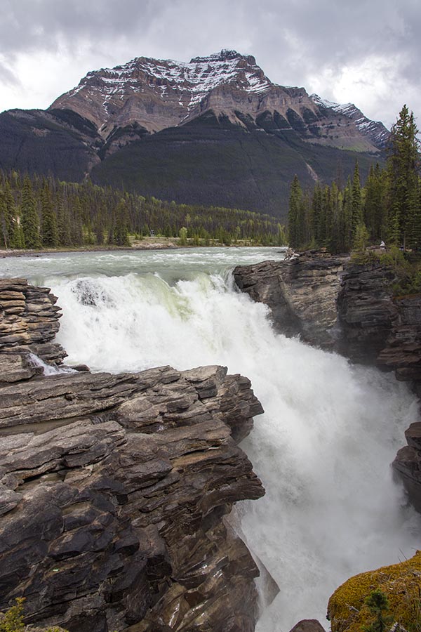 Athabasca Falls