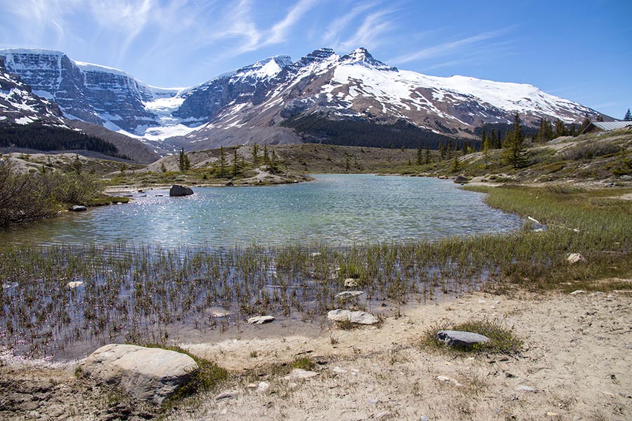 At the Edge of the Icefields Centre Parking Lot