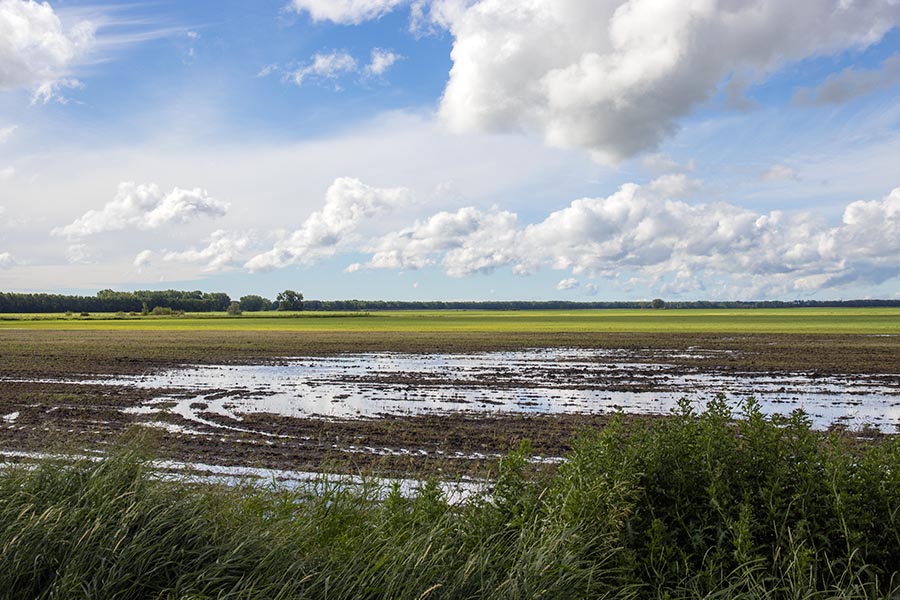 After the Rain, in Manitoba