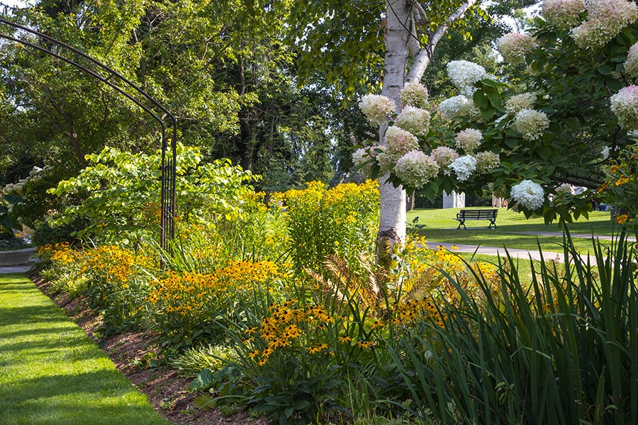 Late Summer Garden