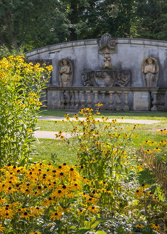 Flowers and Ruins