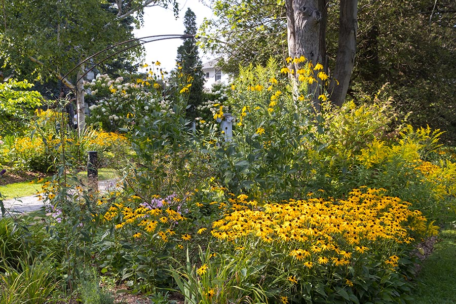 Golden Flowers