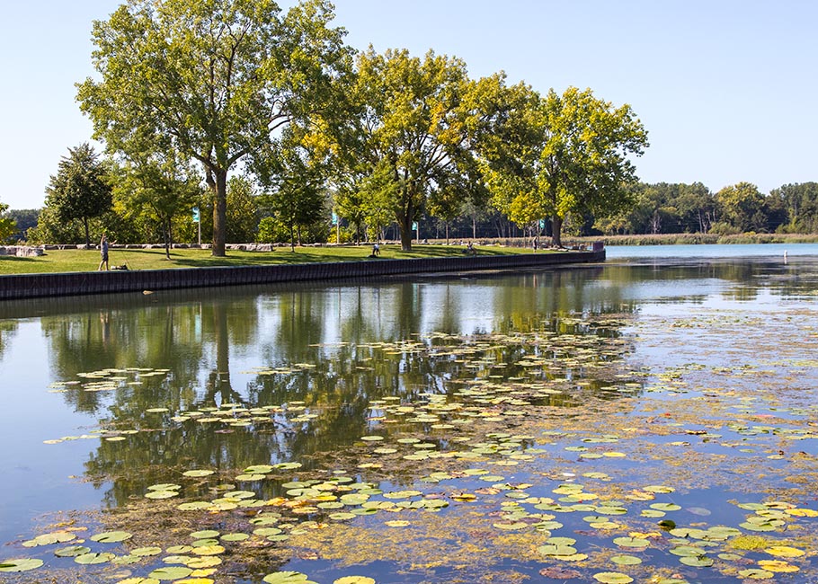 River Reflection