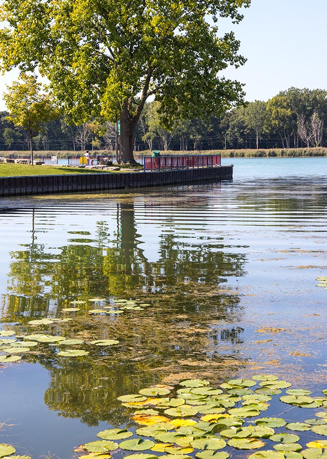 Rippled Reflection 