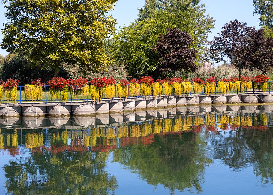 Waterfront Reflection