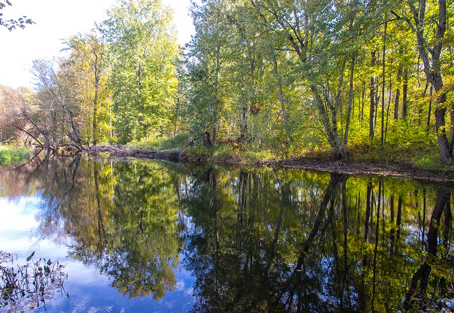 the Salmon River, Arden Picnic Stop