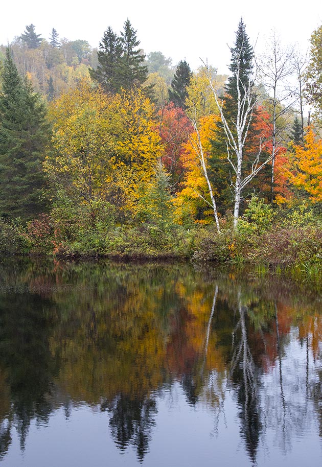 Reflection in the Rain, Riviere Rouge