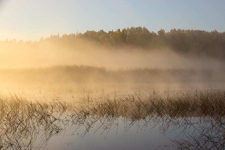 Misty Morning in Chapleau