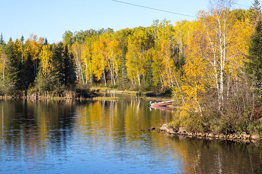 Autumn Morning