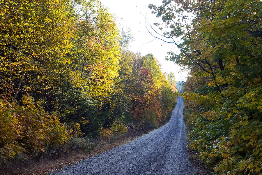 Road to Mijinemungshing Lake