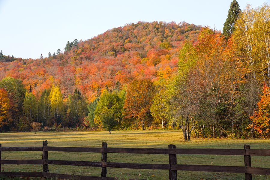 Algoma Hillside