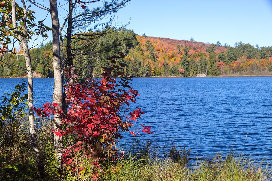 Appleby Lake, 