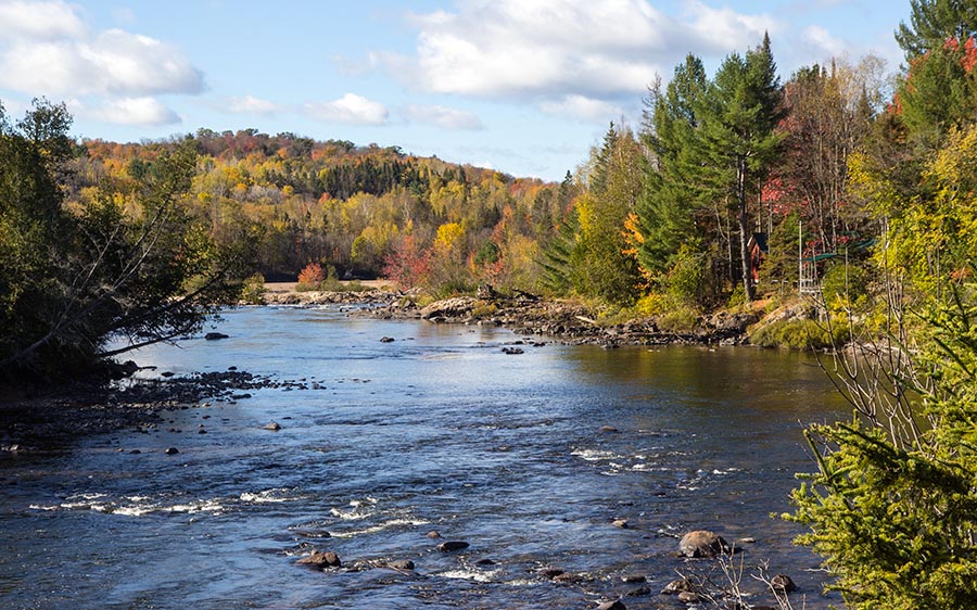 Little White River