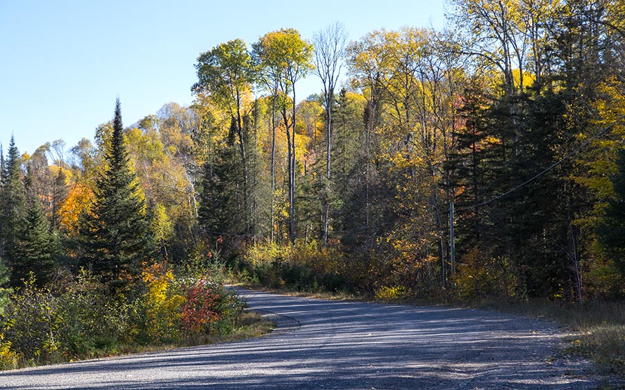 A Bend in the Road