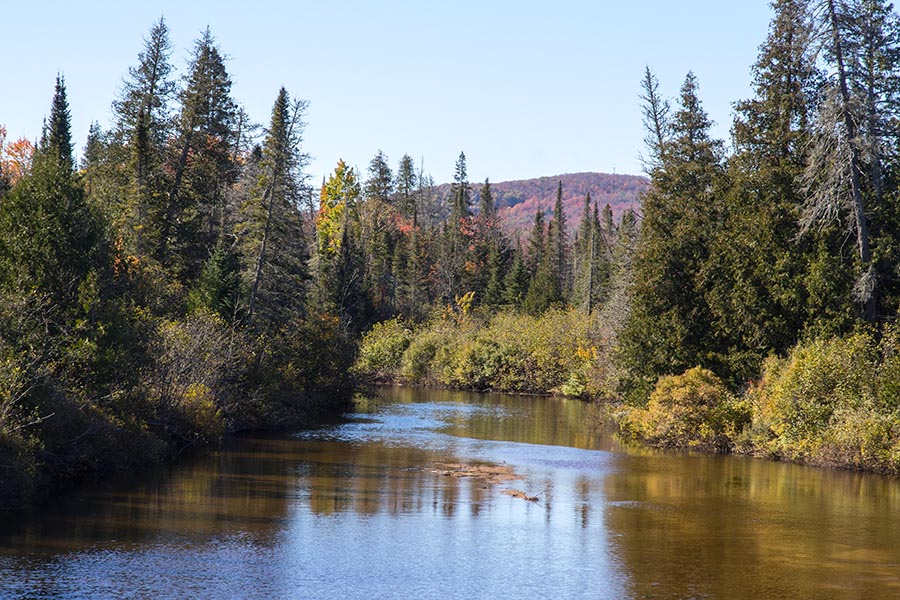 Boland River