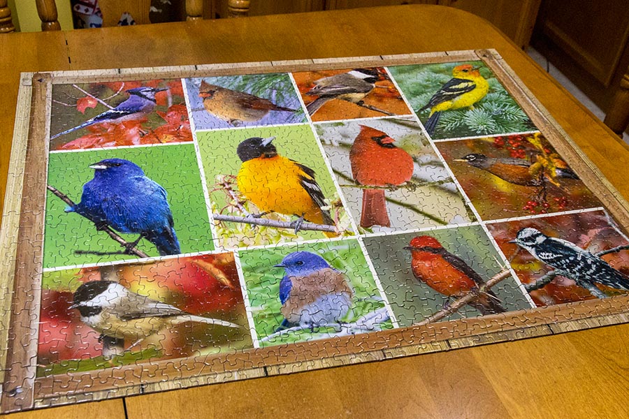 Finished the Puzzle from Hanneke