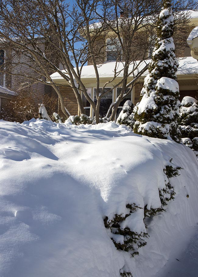 Buried Under a Blanket of Snow