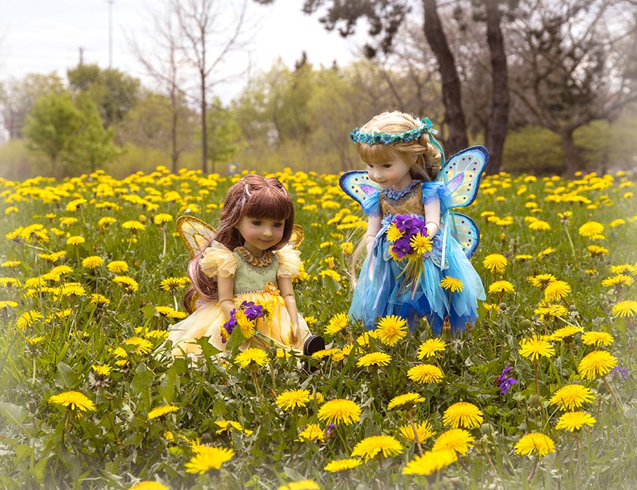 Dandelion Fairies