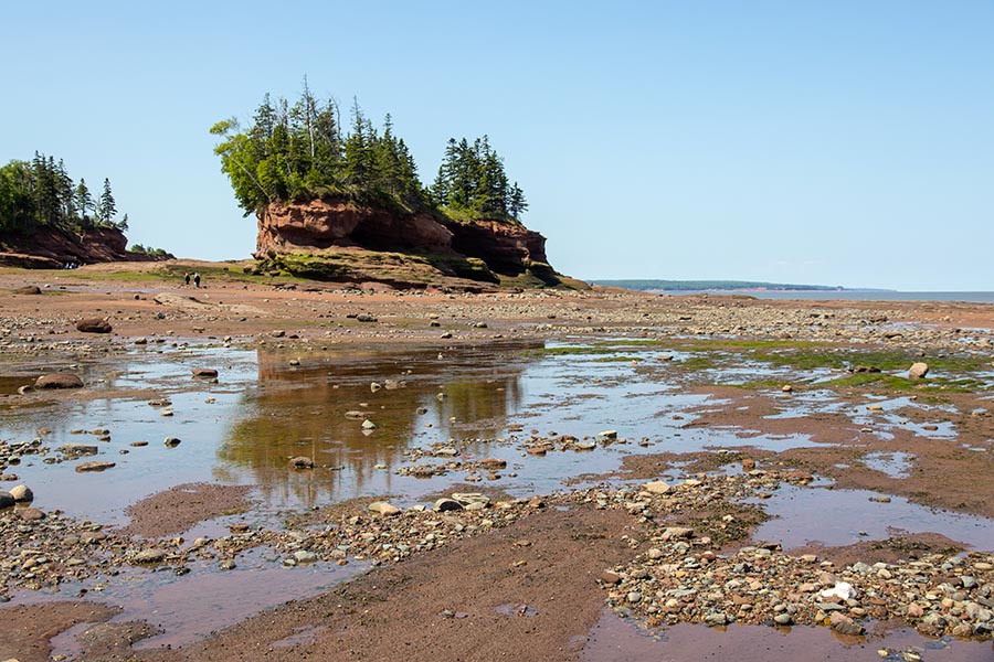 Low Tide