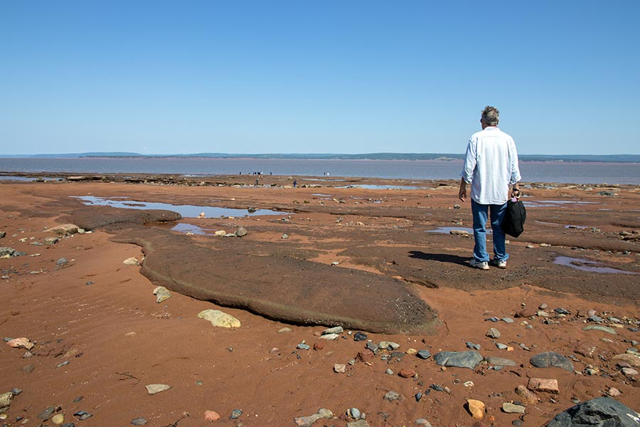 Walking on the Ocean Floor