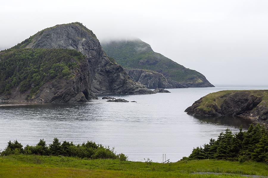 Bottle Cove