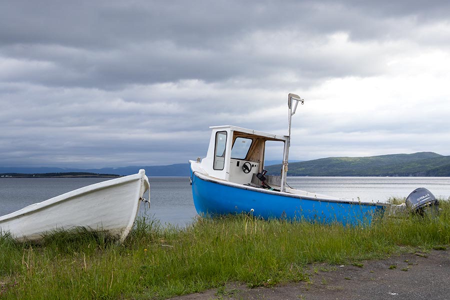 Boats, Frenchmen's Cove