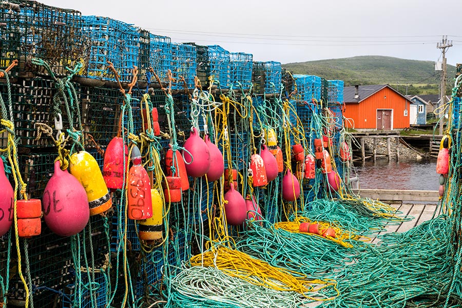 Traps and Floats, Trout River