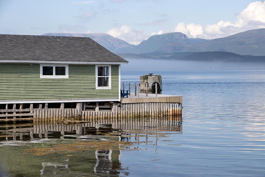 Reflection, Woody Point
