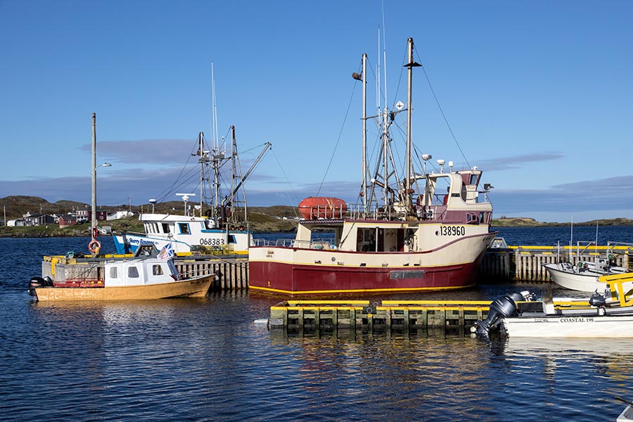 Fishing Boats, Goose Cove