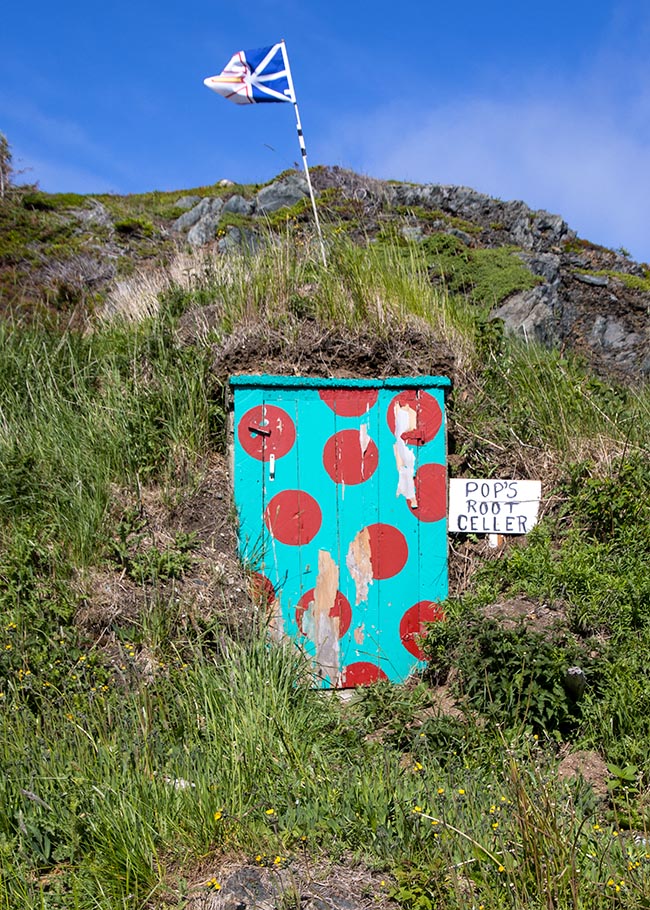Colourful Root Cellar