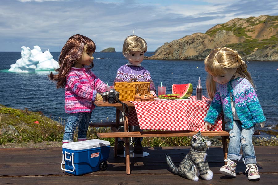 Picnic in Twillingate