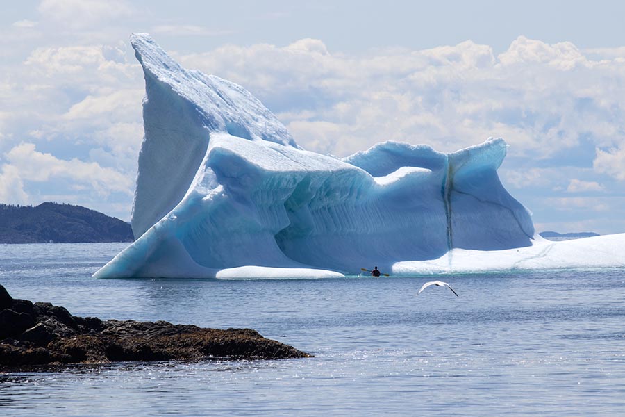 Last Look at Bayview Iceberg