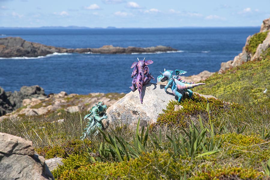 Looking for Whales