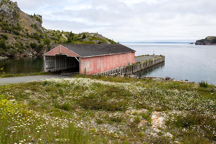 End of the Road in Brigus