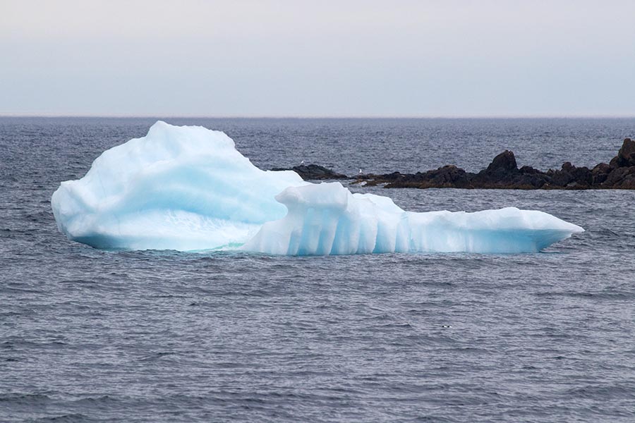 All that's Left of the Twillingate Iceberg