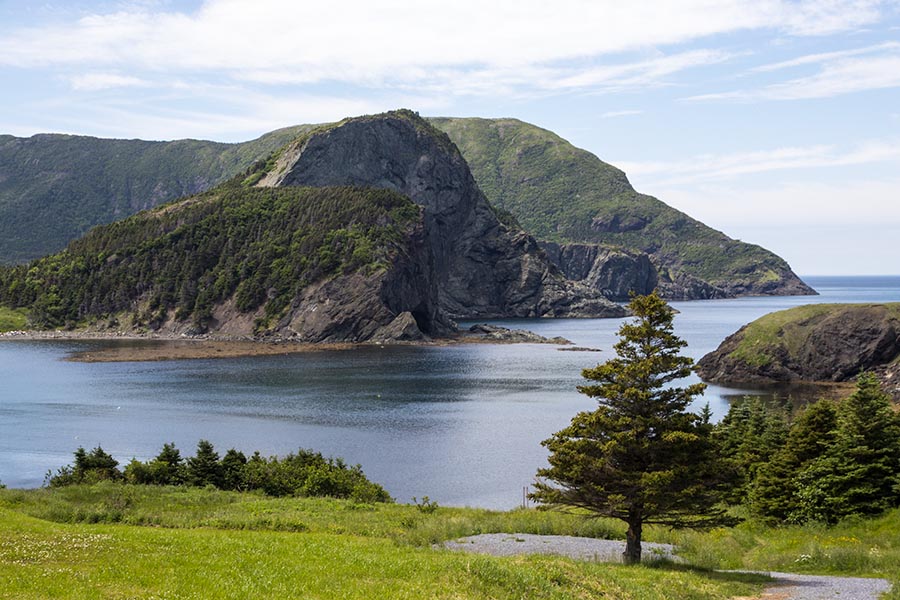 Bottle Cove